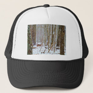 Casquette Doe dans la neige, Deer dans le lac Arrowhead