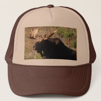 Casquette d'orignaux