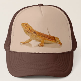 Casquette Dragon barbu