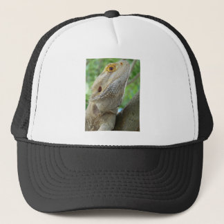 Casquette Dragon barbu