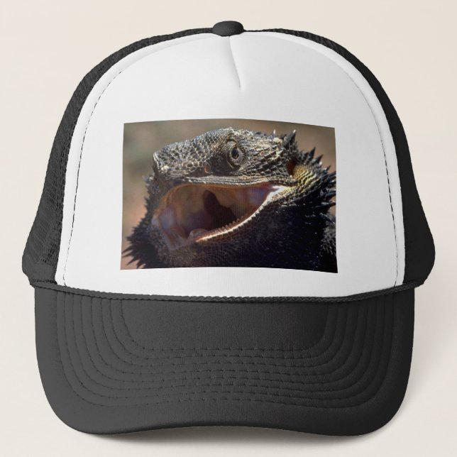 Casquette Dragon barbu, Australie (Devant)