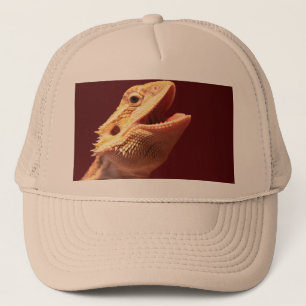 Casquette Dragon barbu heureux superbe