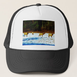 CASQUETTE DSC00131.JPG