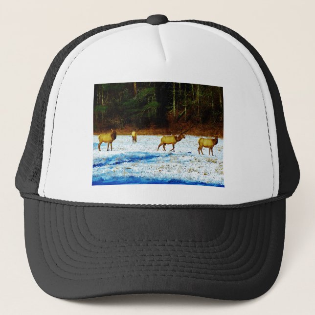 CASQUETTE DSC00131.JPG (Devant)