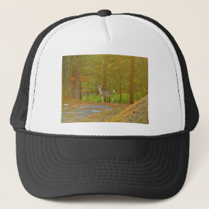 CASQUETTE DSCF4041.JPG