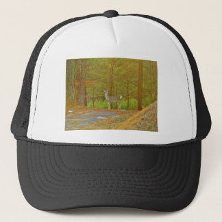 CASQUETTE DSCF4041.JPG