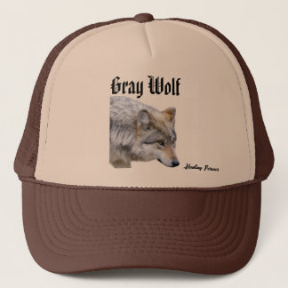 Casquette du loup gris
