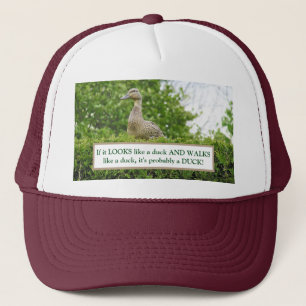CASQUETTE DUCK ASSIS SUR HEDGE/S'IL A L'AIR D'UN DUCK, WAL