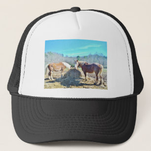 Casquette Ébauche secourue Chevaux mangeant foin