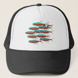 Casquette École de Tetras au néon