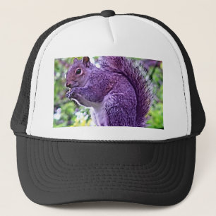 Casquette Écureuil pourpre