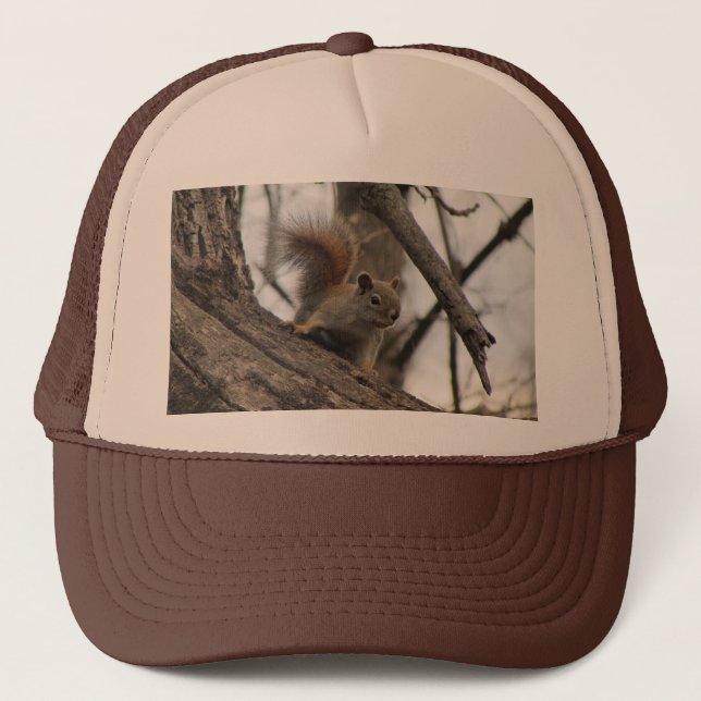Casquette Écureuil rouge (Devant)
