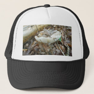 Casquette Éléments de coordination du champignon blanc