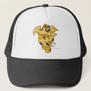 Casquette Elephante a repéré