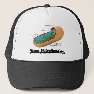 Casquette Équipe Mitochondria (Humour Mitochondrion)