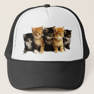 Casquette Équipements de chaton
