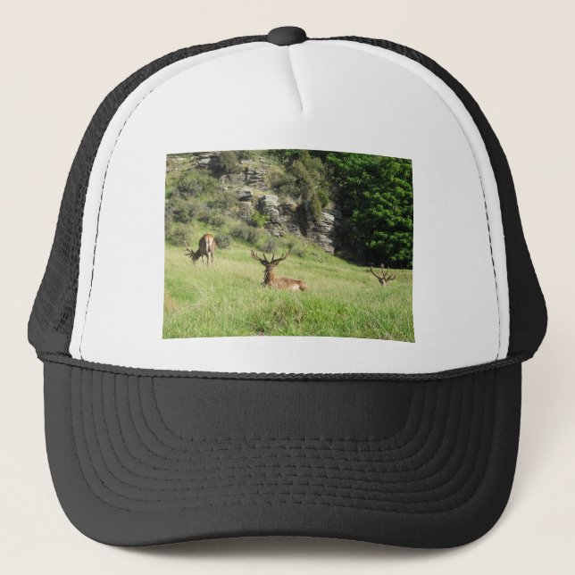 Casquette Étiquettes de la Nouvelle-Zélande (Devant)