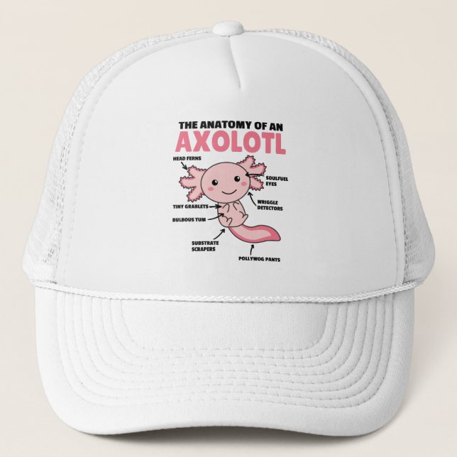 Casquette Explication Axolotl Anatomie D'Un Axolotl (Devant)