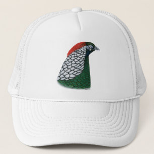 Casquette faisan : Lady Amherst Head
