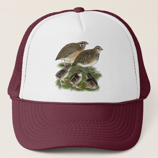 Casquette Famille Coturnix Quail (Devant)