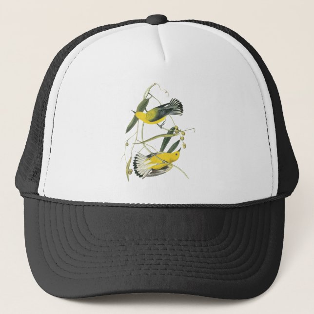 Casquette Fauvette de Prothonotary, John Audubon (Devant)