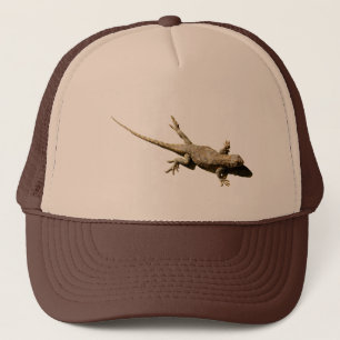 Casquette Fence Lizard