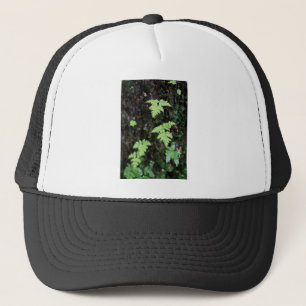 Casquette Fermes -