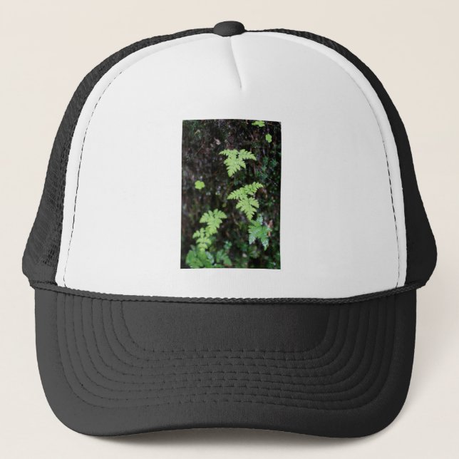 Casquette Fermes - (Devant)