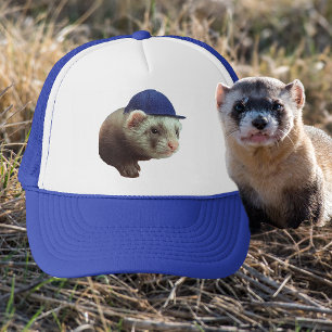 Casquette Ferret portant un capuchon bleu Photo
