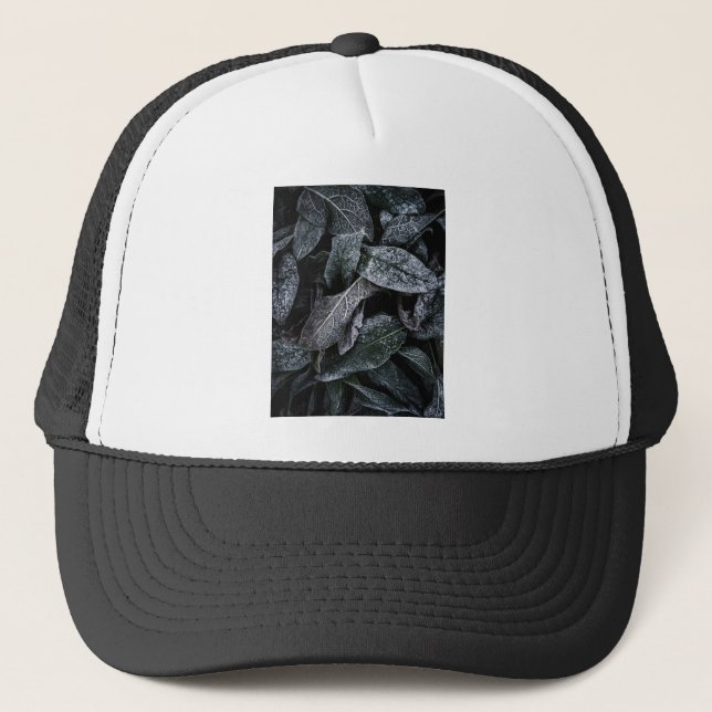 Casquette feuilles cool (Devant)