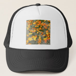 Casquette feuilles tombés sous la pluie