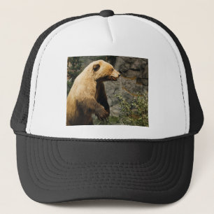 Casquette Fière Ours