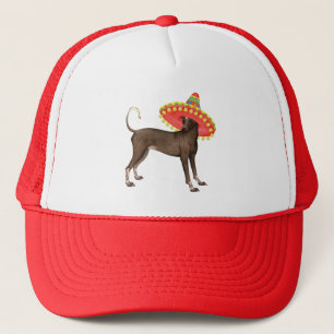 Casquette Fiesta Xolo