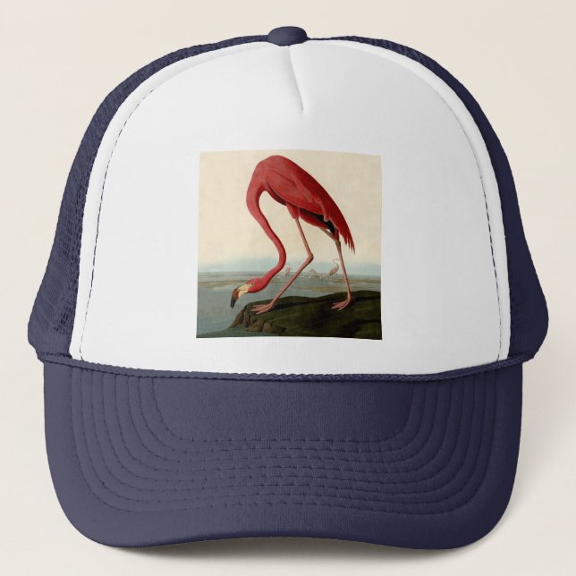 Casquette Flamant rose américain Audubon (Devant)