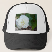 fleur blanche d'hibiscus mutabilis