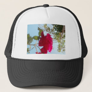 Casquette Fleur céleste : Un Rose contre le ciel