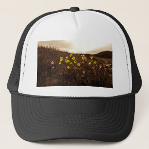 Casquette Fleurs de soleil