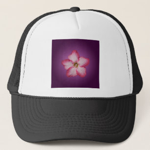 Casquette Flore rose Adenium Violet rayé