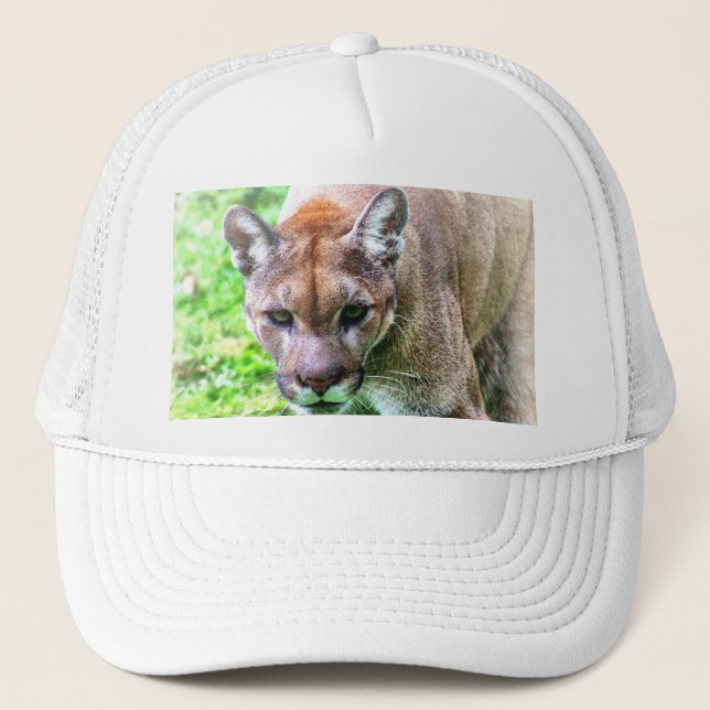 CASQUETTE FLORIDA PANTHER BASEBALL CAP OR HAT (Devant)