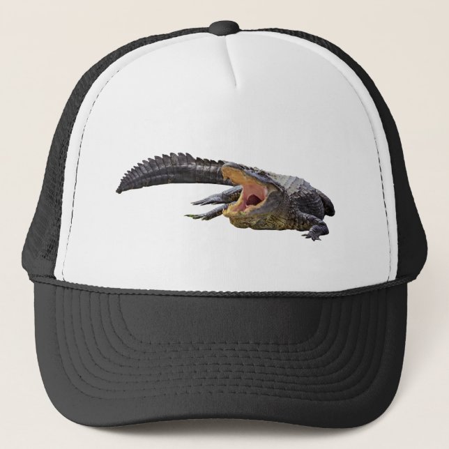 Casquette Floride faune américaine alligator photographie (Devant)
