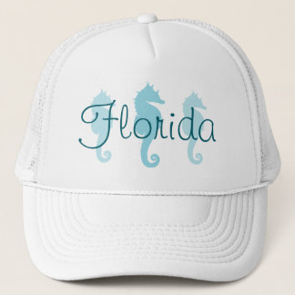 Casquette Floride Robin Egg Blue Seahores