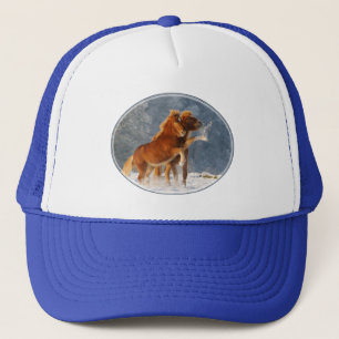 Casquette Foal de cheval islandais Jouer dans la neige amusa