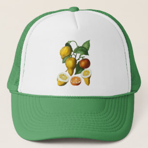 CASQUETTE FRUITS DE CITRÉ