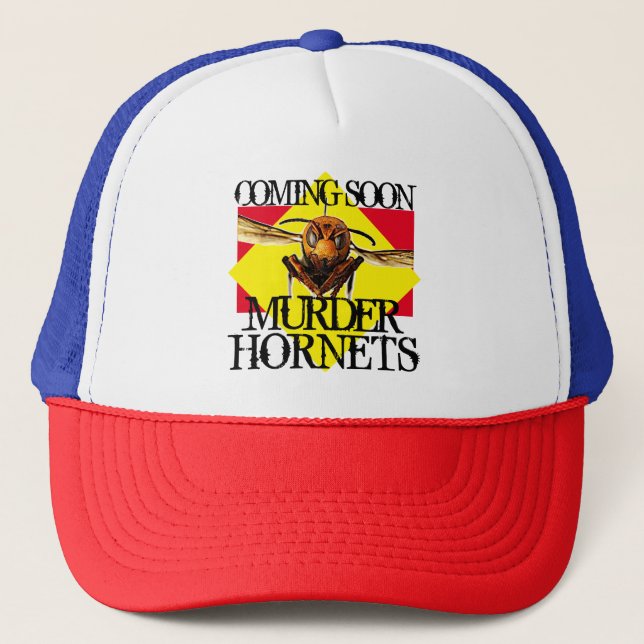 Casquette Fun Meurtre Hornets (Devant)