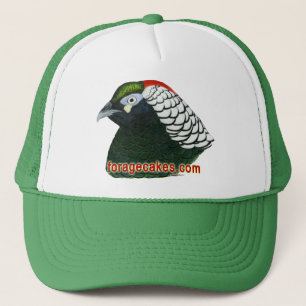 Casquette Gâteaux de fourrage :  Madame Amherst Pheasant