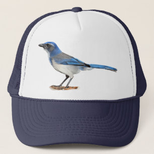 CASQUETTE GEAI 2