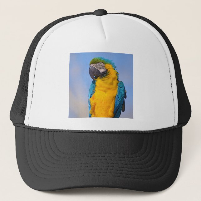 Casquette Gelbbrustara macaw sur perche (Devant)