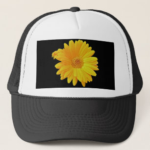 Casquette Gerbera Daisy (Gerbera hybrida) - Jaune