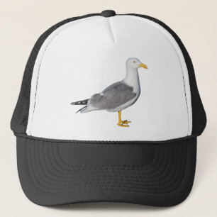 Casquette Goéland à pattes jaunes