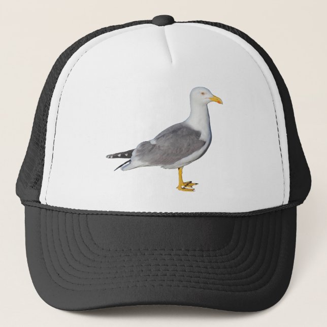 Casquette Goéland à pattes jaunes (Devant)